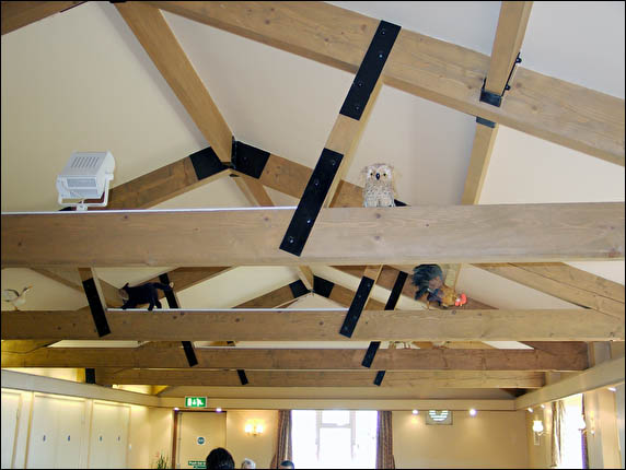 The Inhabitance of the rafters;)