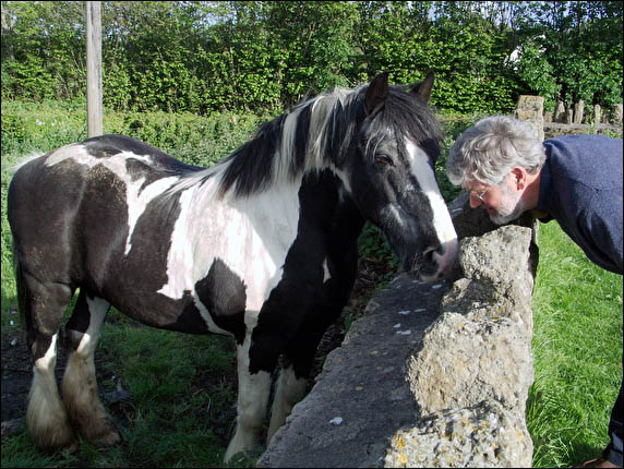 John Austin getting friendly with a Horse - John!