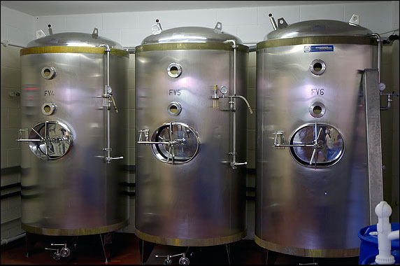 Fermenting vessels