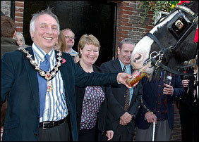 Cllr Geoff Acton offering a drink to Shire Horse 'Griffin'