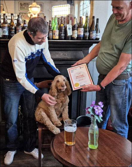 With Rudi who's a familiar presence in the pub The Pub Dog