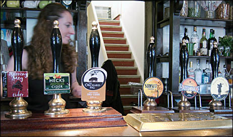 Cider hand-pumps at the Sussex Arms